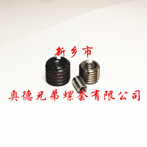 丽江一字螺套
