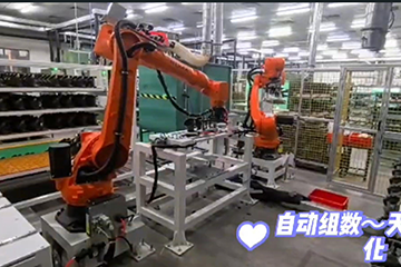 江门组树案例分享