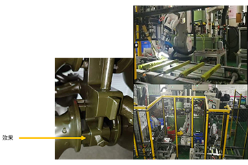 温州组树案例分享