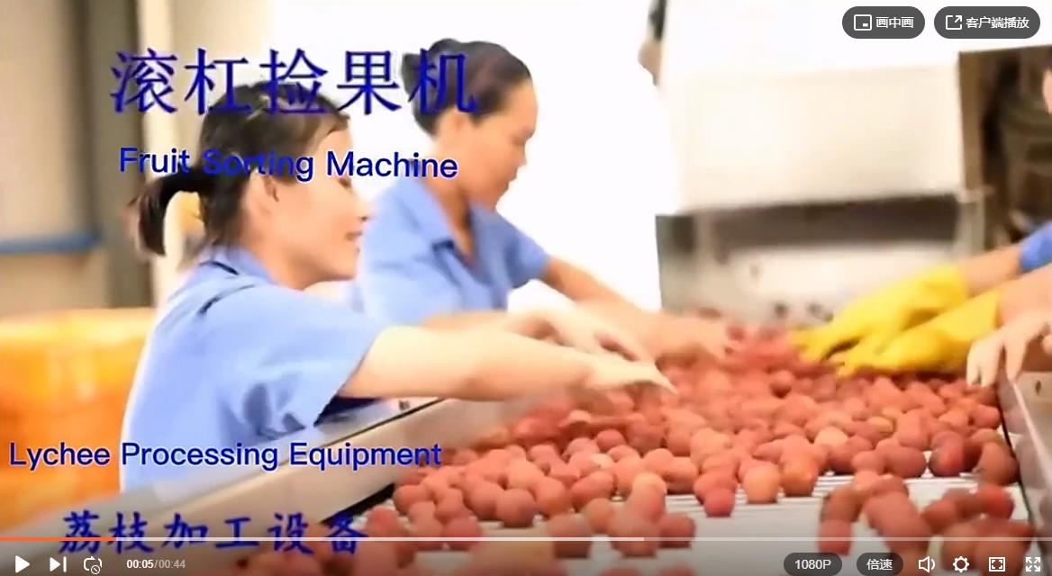 荔枝剥壳机