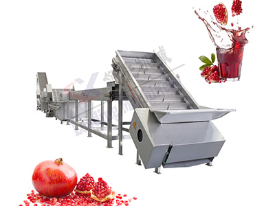 云南石榴果汁生产线