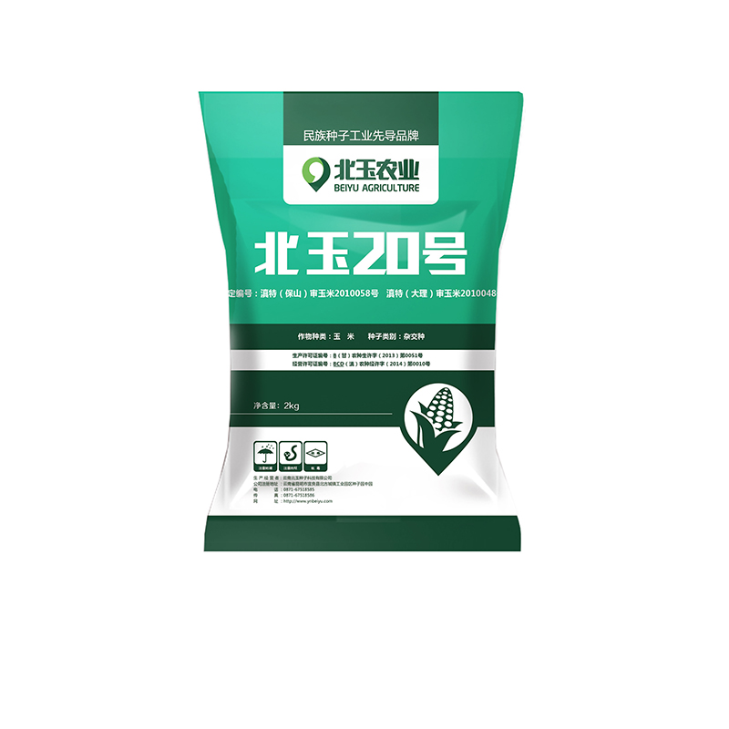 玉米种子价格